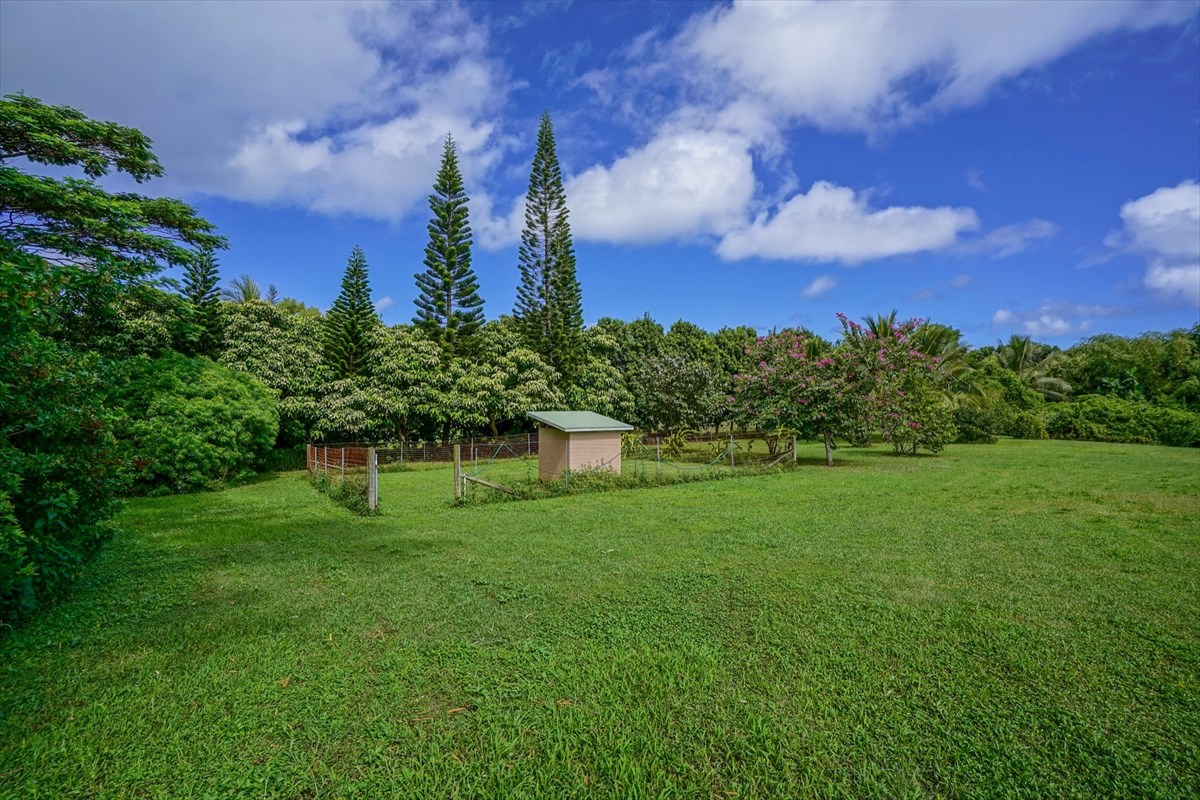 4327 Kapuna Road, Unit 2 Kilauea, HI 96754 - Photo 24 of 30 a backyard of a house with lots of green space