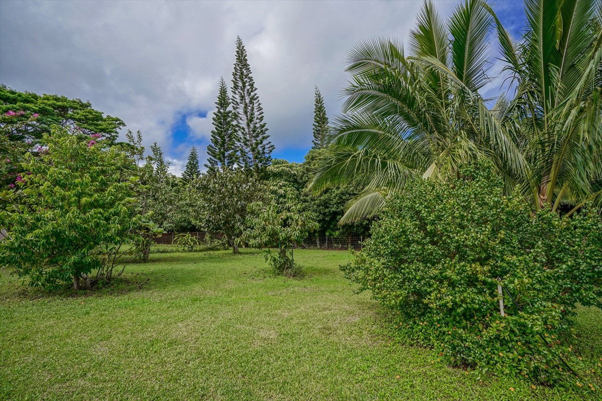 4327 Kapuna Road, Unit 2 Kilauea, HI 96754 - Photo 27 of 30 a view of a garden with a building in the background