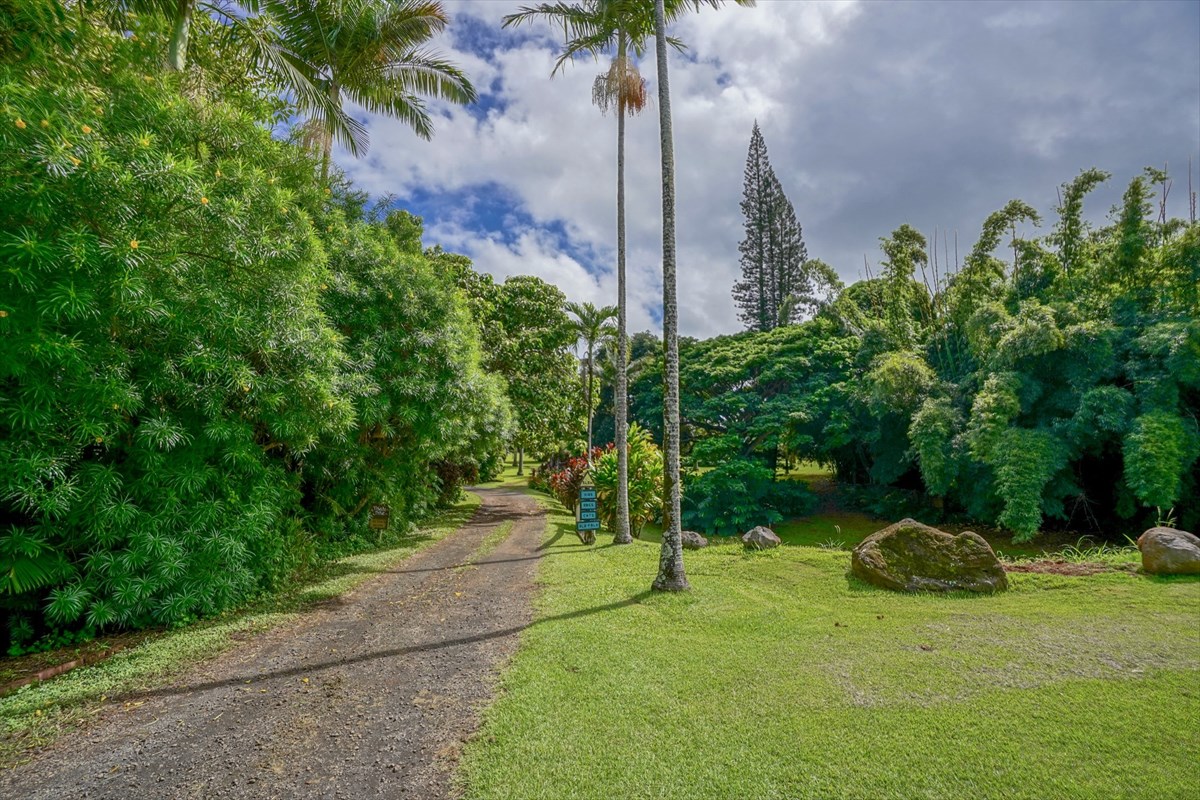 4327 Kapuna Road, Unit 2 Kilauea, HI 96754 - Photo 8 of 30 a view of a park with a slide