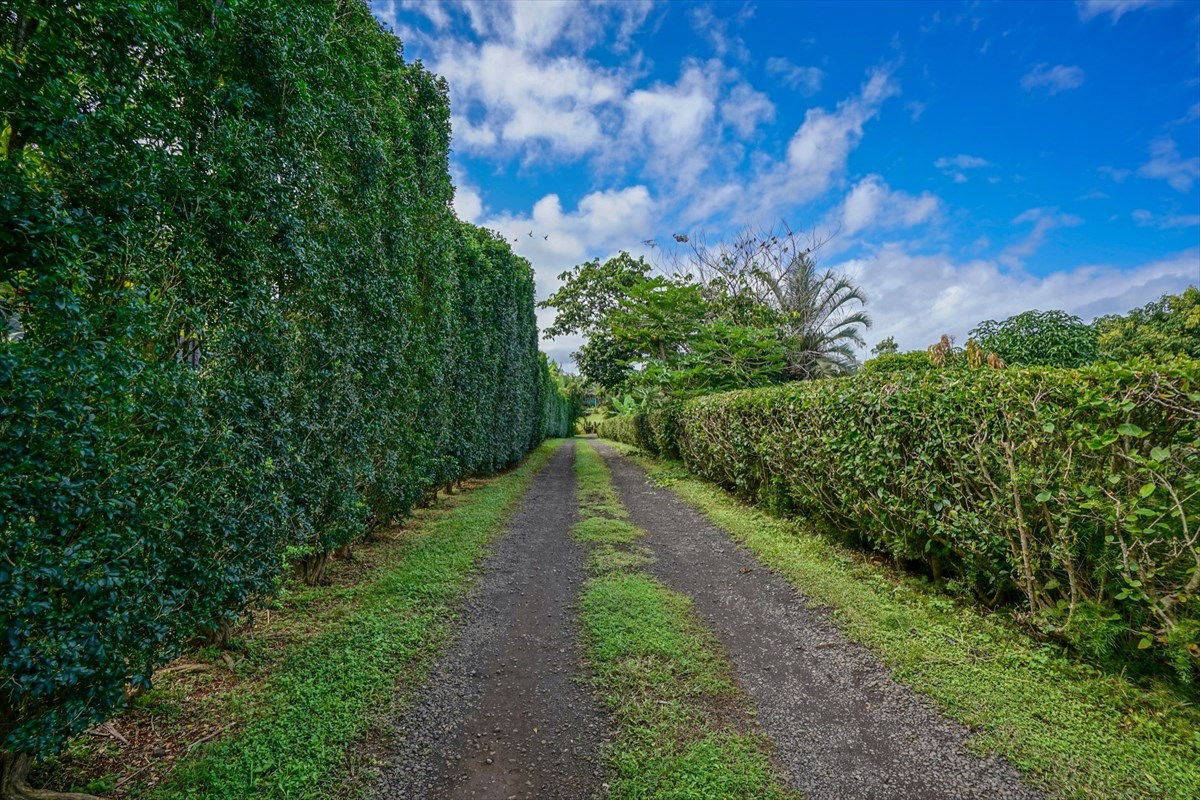 4327 Kapuna Road, Unit 2 Kilauea, HI 96754 - Photo 10 of 30 a view of a pathway both side of yard
