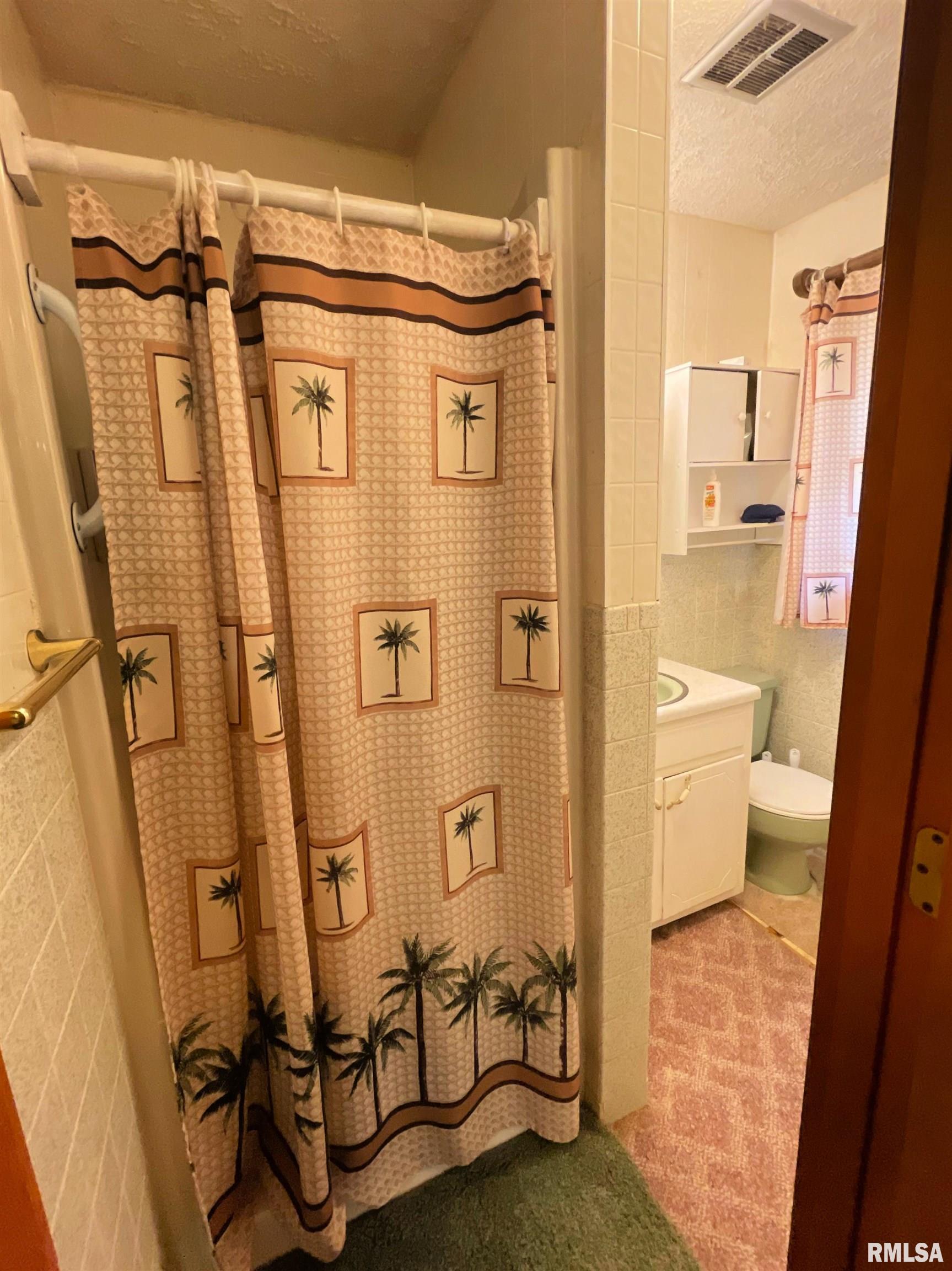 385 East Fords Ferry Road Cave In Rock, IL 62919 - Photo 21 of 32