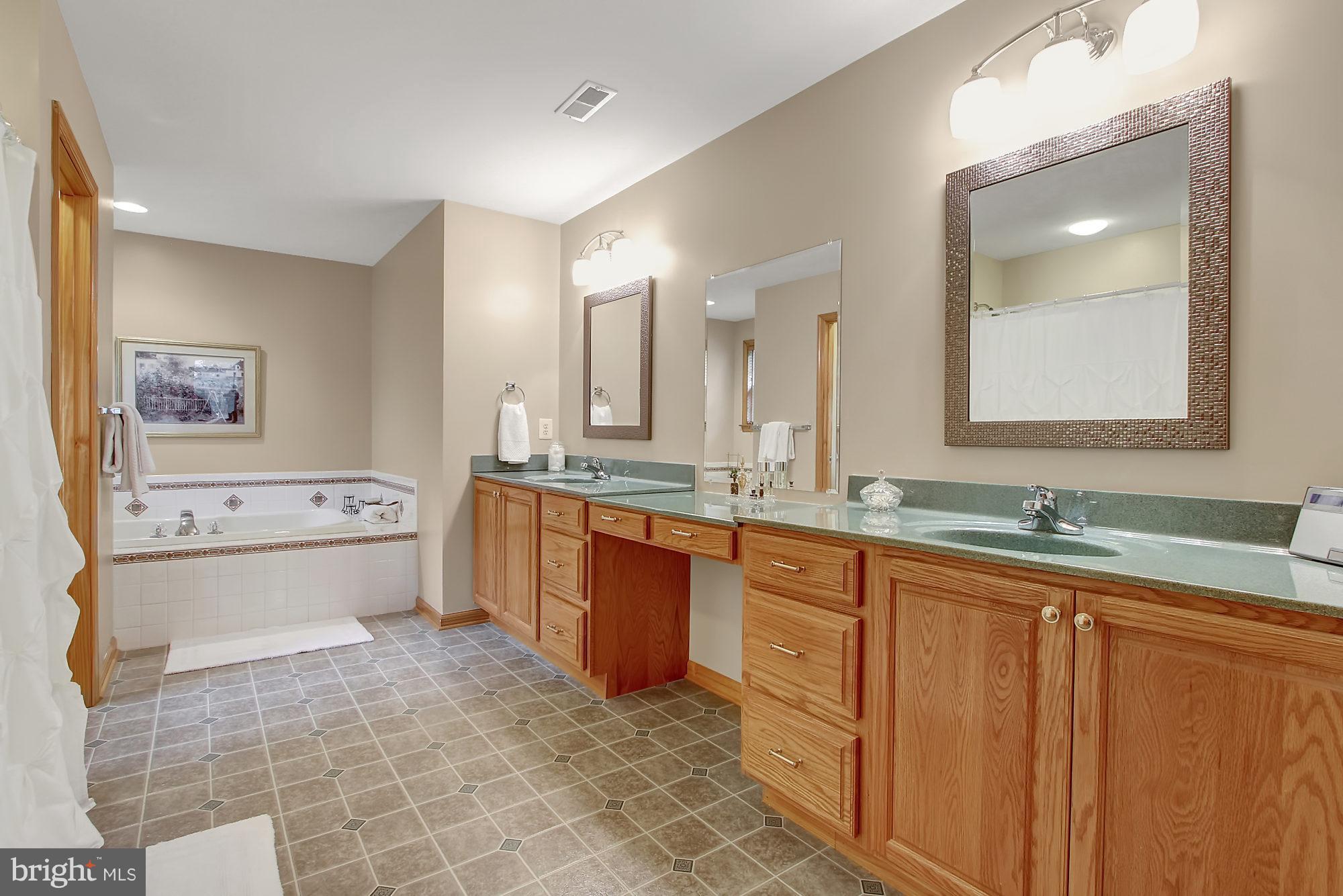 245 Uniontown Road Westminster, MD 21157 - Photo 14 of 30 Bath (Master)