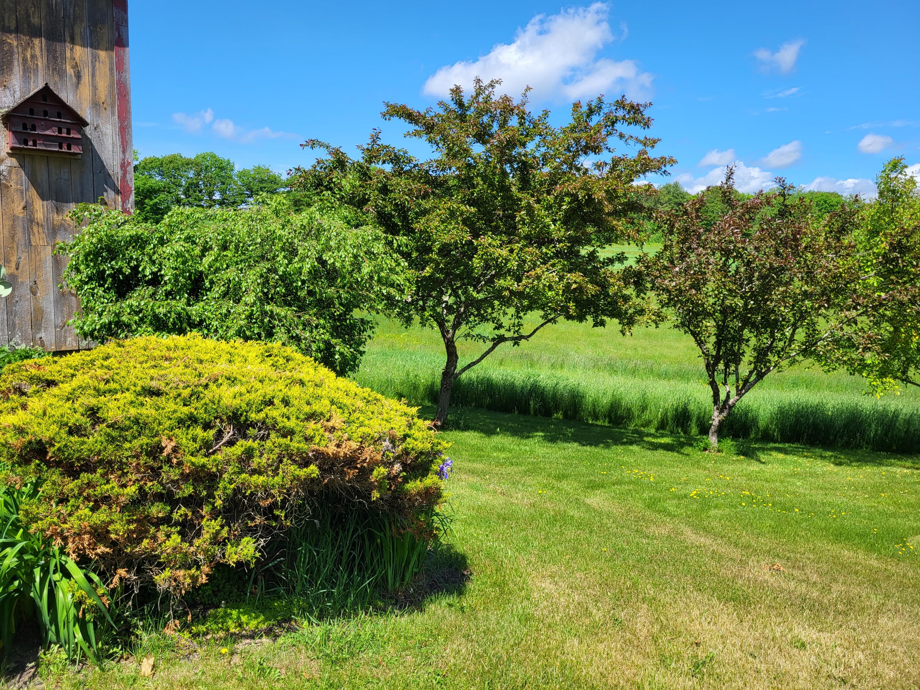 369 Barton Road Windsor, ME 04363 - Photo 9 of 135 20220531_141904