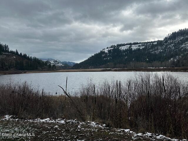 2035 St Joe River Road St. Maries, ID 83861 - Photo 2 of 6 IMG_5156