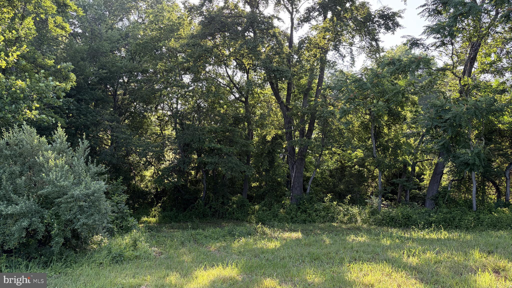 Bank Road Washington, VA 22747 - Photo 9 of 13 partially wooded