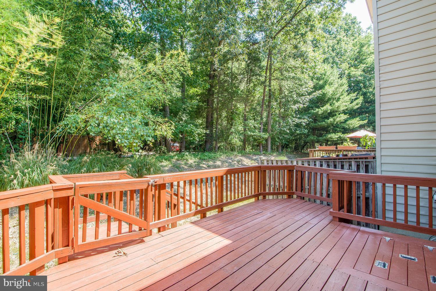 15116 Snow Mass Court Silver Spring, MD 20906 - Photo 22 of 23 View