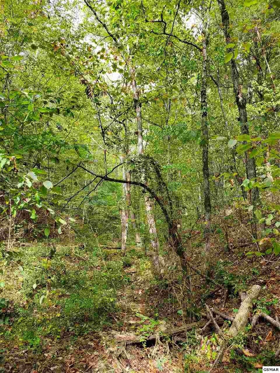 0 Shell Mountain Road Sevierville, TN 37876 - Photo 14 of 35
