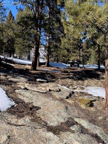 517 Valley Road Florissant, CO 80816 - Photo 17 of 26