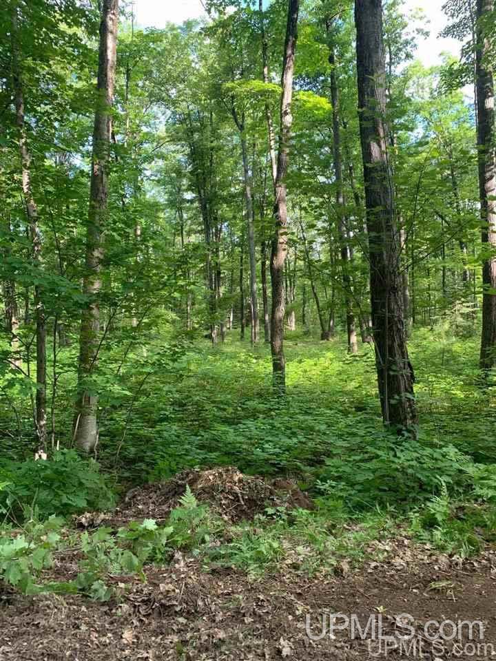 Tbd Moon Shadow Ridge Negaunee, MI 49866 - Photo 5 of 10 Gallery Image 5
