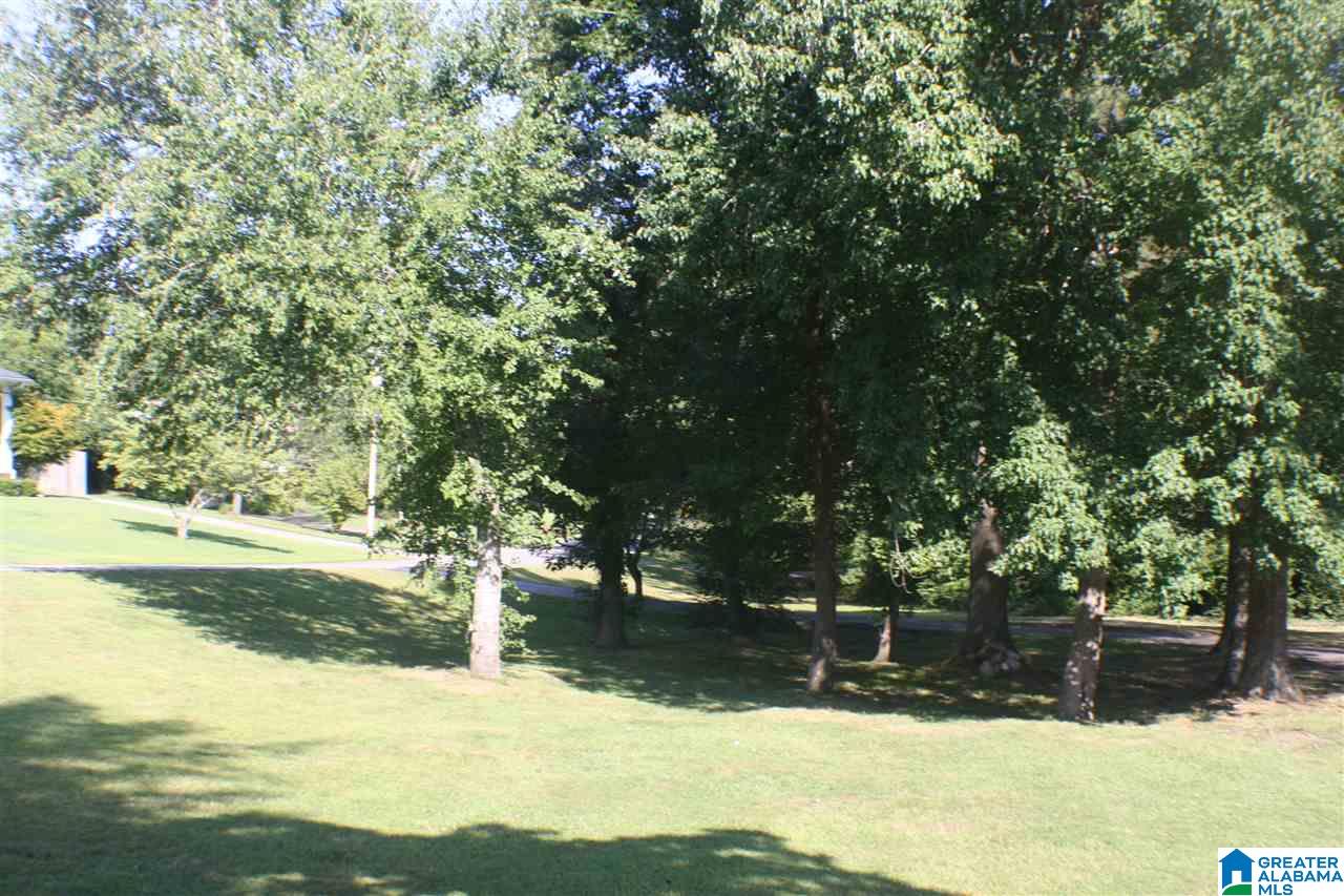 423 Cherokee Trail Anniston, AL 36206 - Photo 38 of 38
