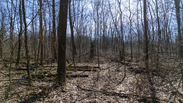 $110,000 | Vl Doster Road, Plainwell, MI 49080