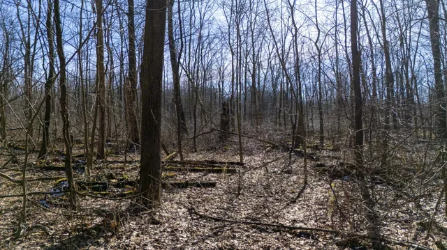 $115,000 | Vl Doster Road, Plainwell, MI 49080