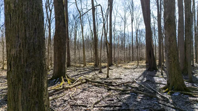 $115,000 | Vl Doster Road, Plainwell, MI 49080