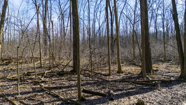 $115,000 | Vl Doster Road, Plainwell, MI 49080