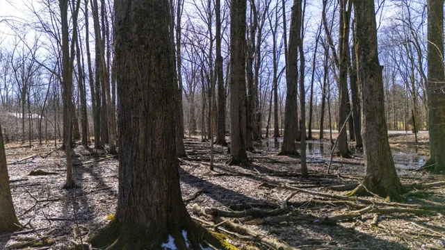 $115,000 | Vl Doster Road, Plainwell, MI 49080