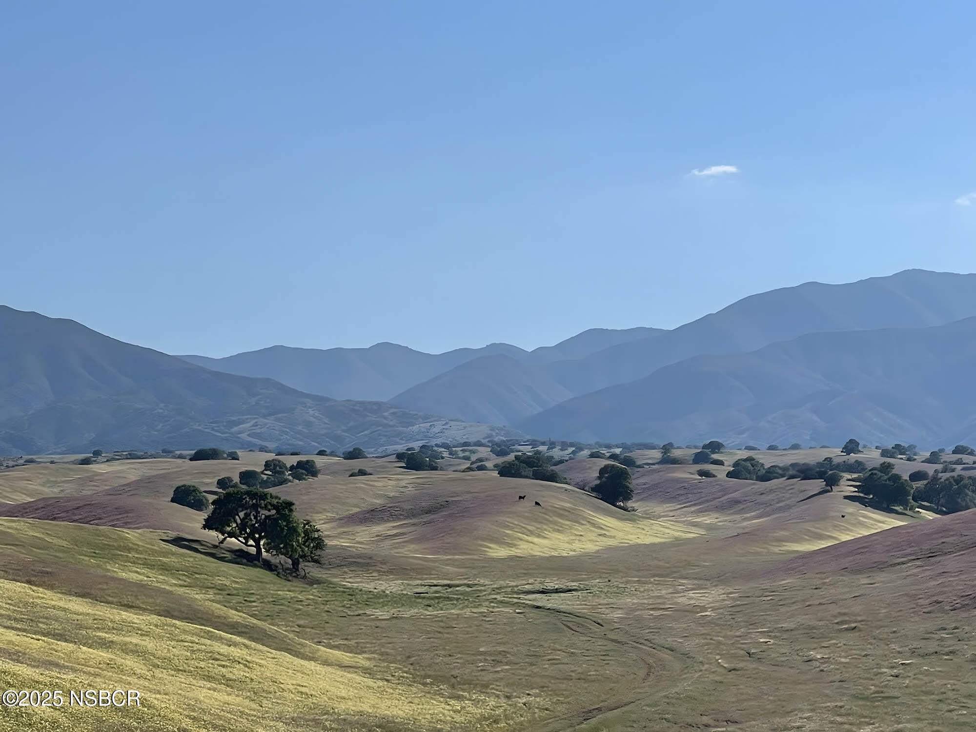 2170 Aliso Park Road New Cuyama, CA 93254 - Photo 19 of 71 Flower Tapistry from Aliso Canyon
