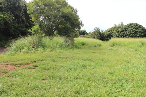 30 C Moa Road Kapaa, HI 96746 - Photo 1 of 1 a view of a field with a tree