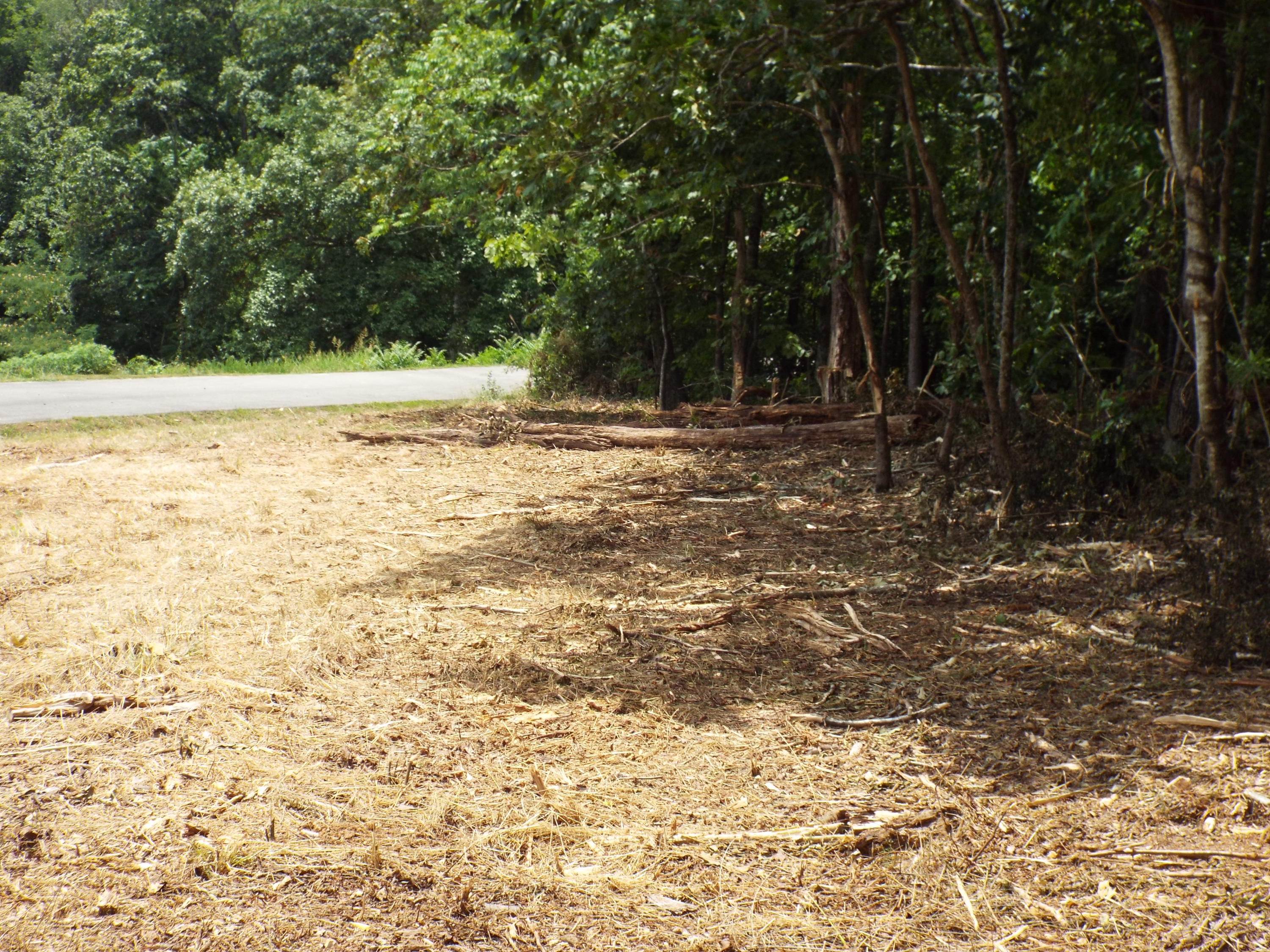 Parks Ferry Road Friendsville, TN 37737 - Photo 13 of 16 DSCF3834