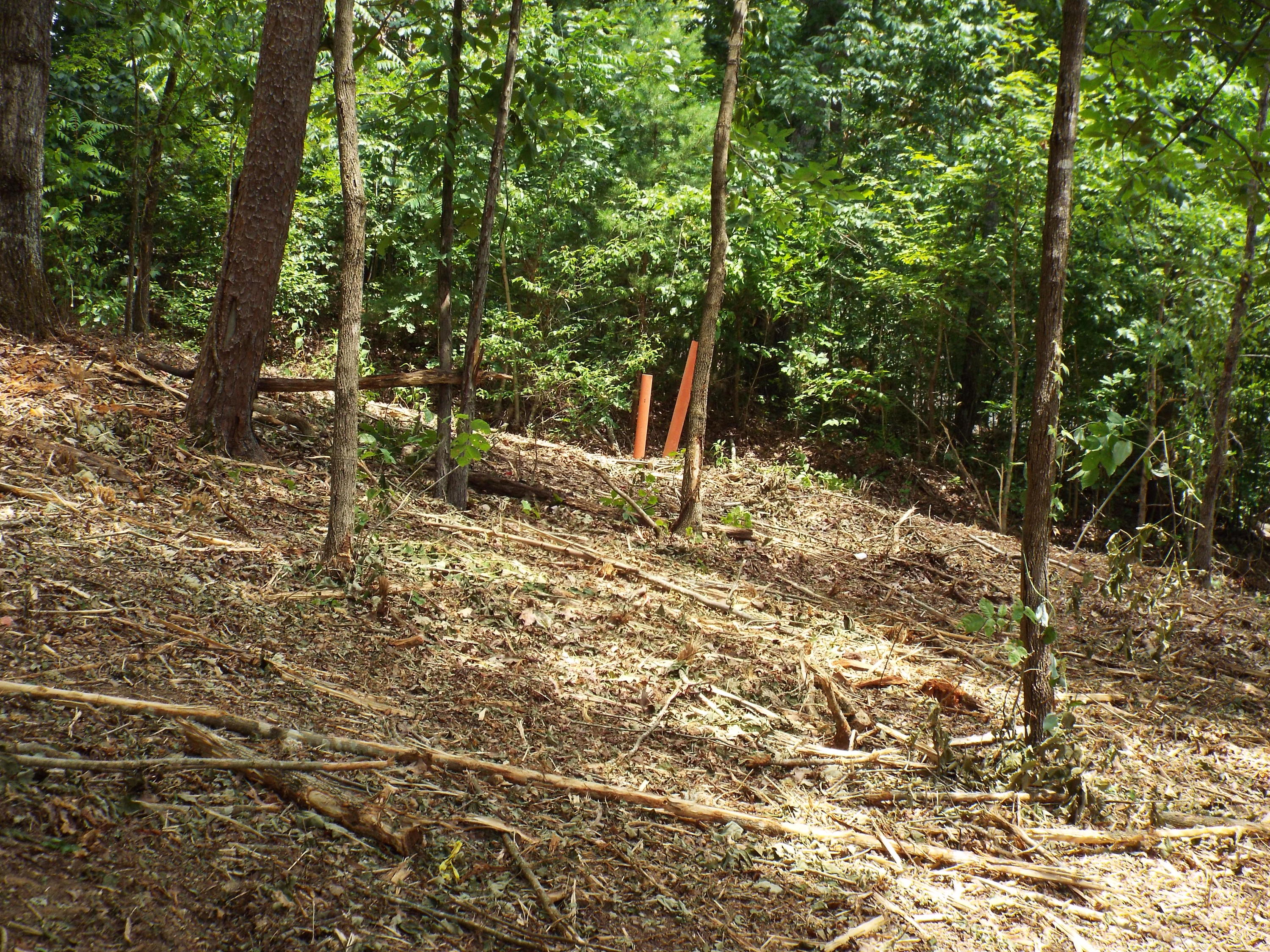 Parks Ferry Road Friendsville, TN 37737 - Photo 14 of 16 DSCF3836