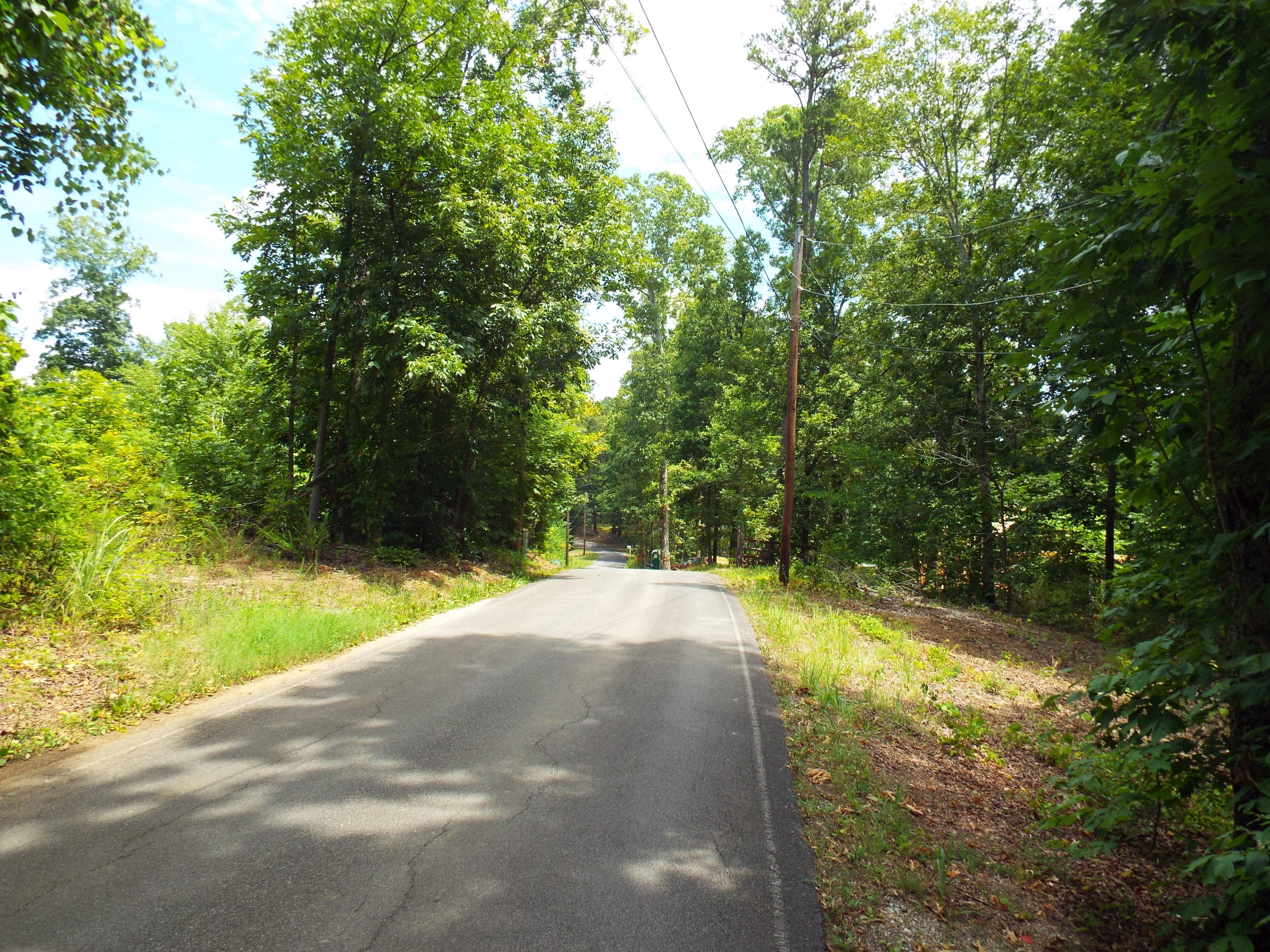Parks Ferry Road Friendsville, TN 37737 - Photo 15 of 16 DSCF3837