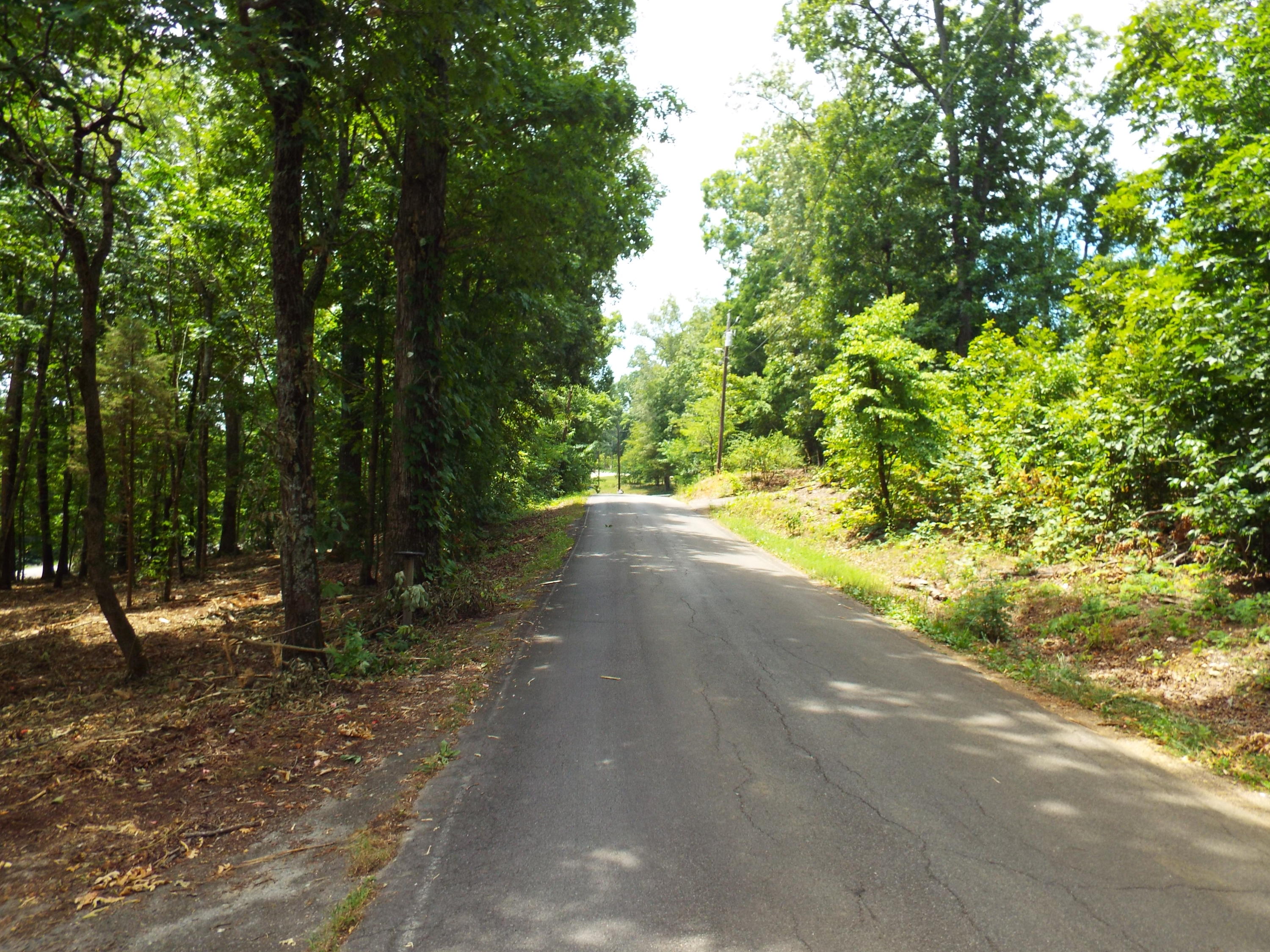 Parks Ferry Road Friendsville, TN 37737 - Photo 16 of 16 DSCF3838