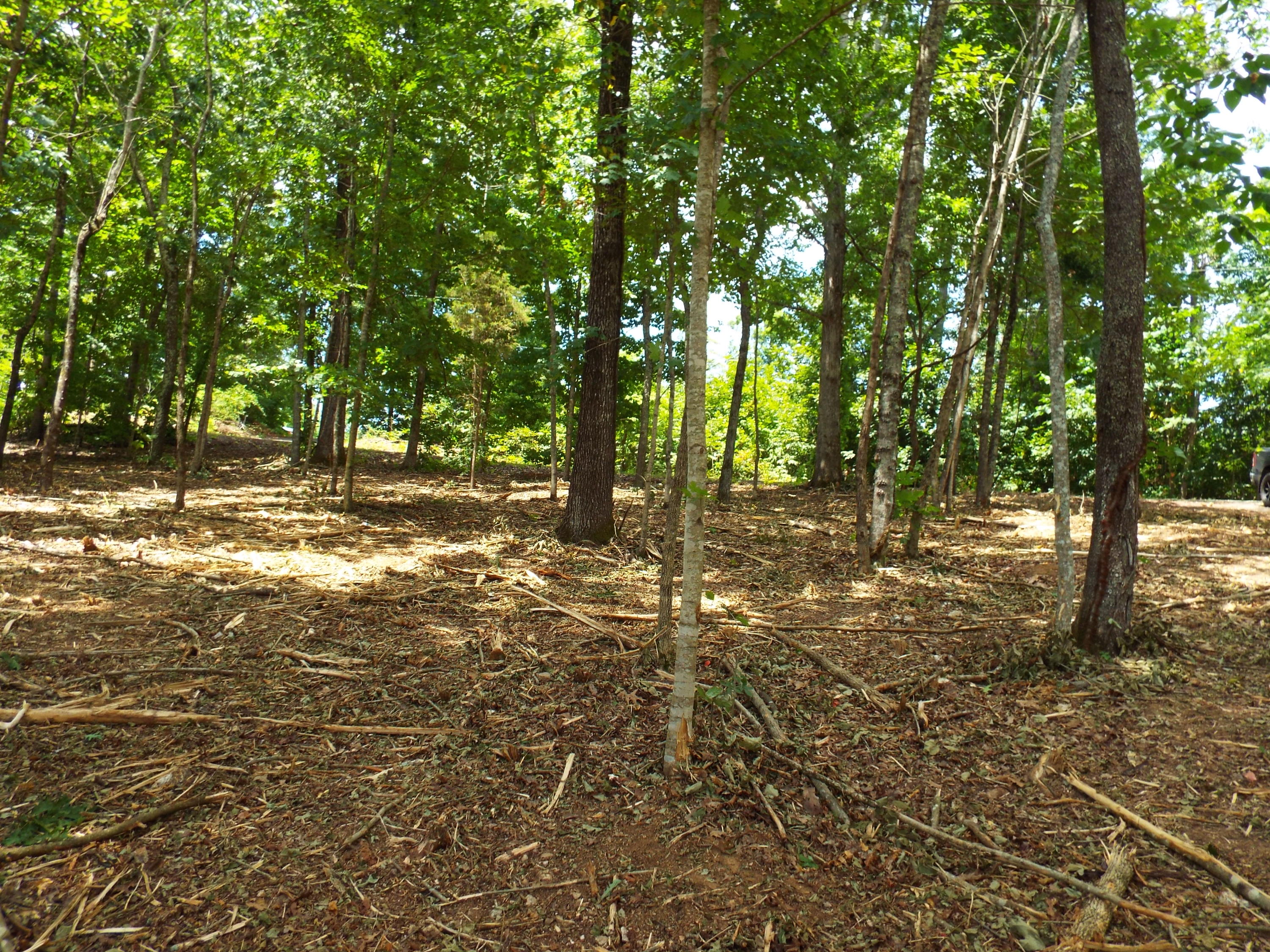 Parks Ferry Road Friendsville, TN 37737 - Photo 10 of 16 DSCF3826