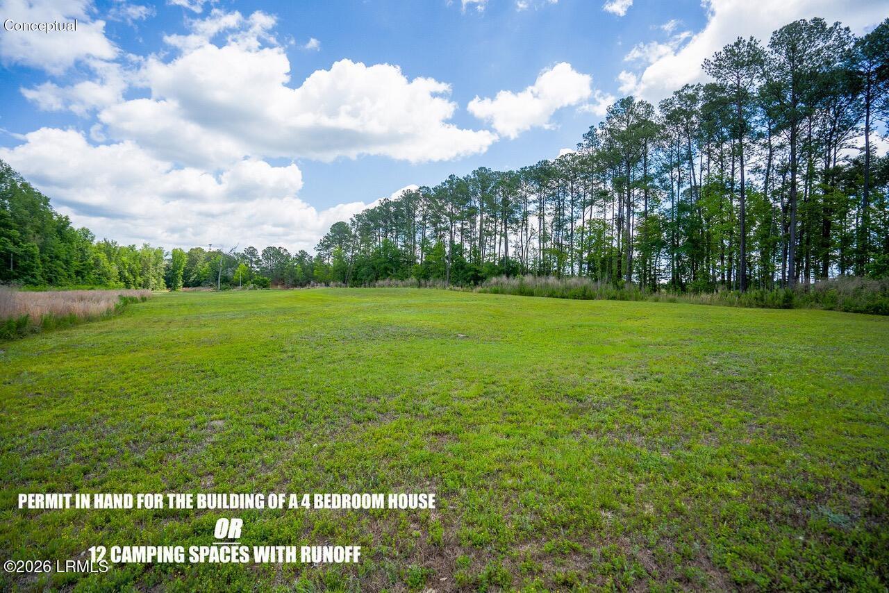 Tbd Evergreen Lane Walterboro, SC 29488 - Photo 12 of 39 DSC01512-11-HDR.jpg-SMALL