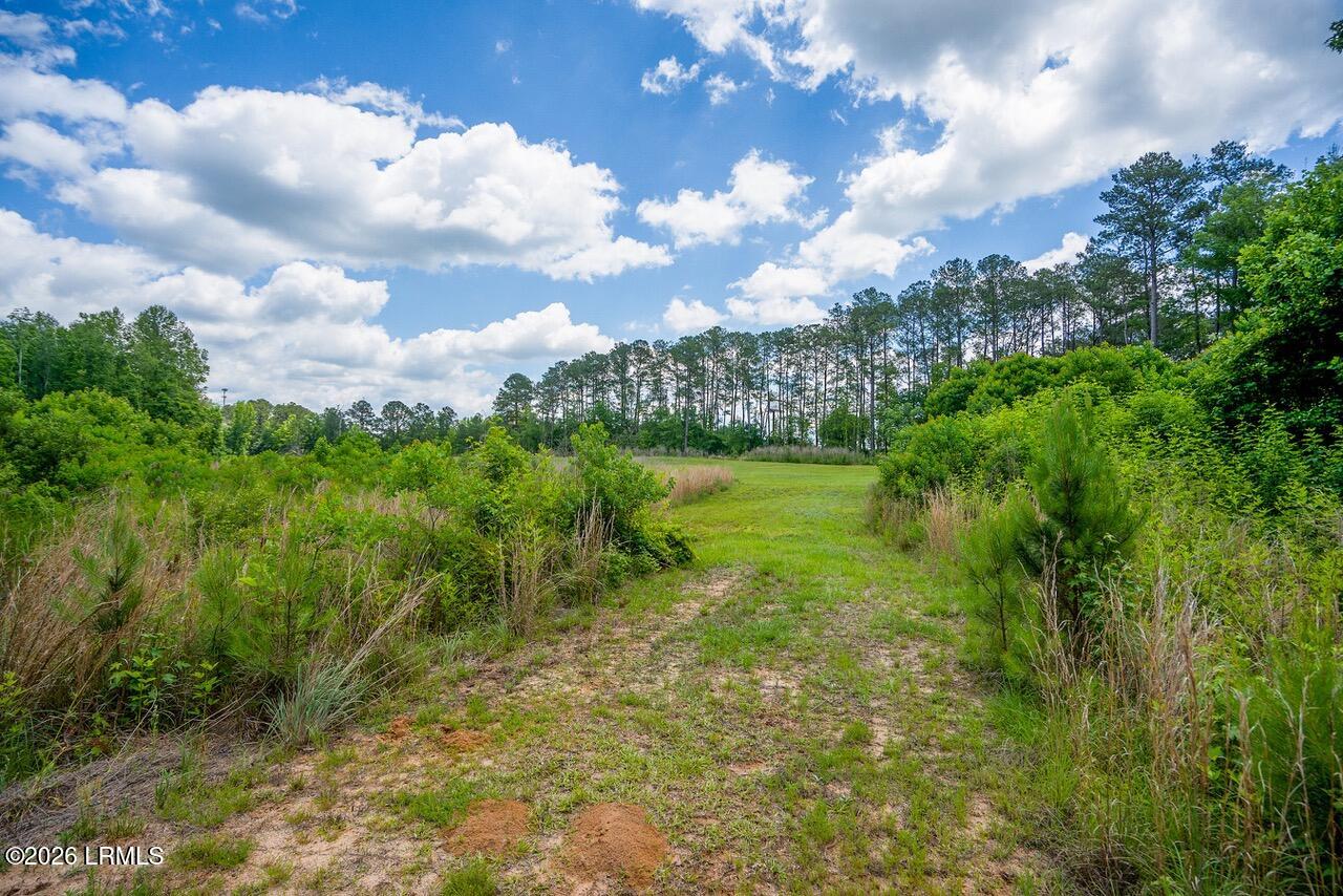 Tbd Evergreen Lane Walterboro, SC 29488 - Photo 13 of 39 DSC01517-16-HDR.jpg-SMALL