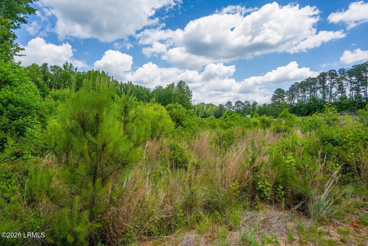Tbd Evergreen Lane Walterboro, SC 29488 - Photo 14 of 39 DSC01522-21-HDR.jpg-SMALL