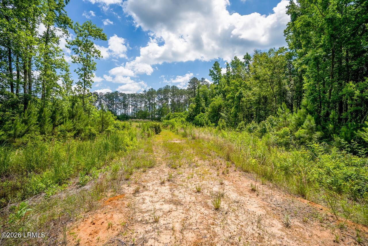 Tbd Evergreen Lane Walterboro, SC 29488 - Photo 15 of 39 DSC01527-26-HDR.jpg-SMALL