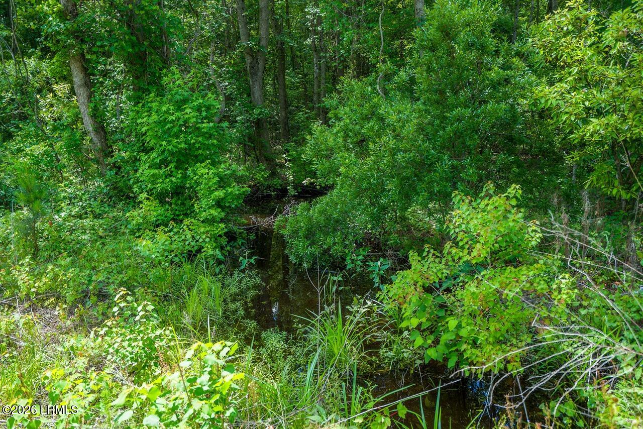 Tbd Evergreen Lane Walterboro, SC 29488 - Photo 16 of 39 DSC01532-31-HDR.jpg-SMALL