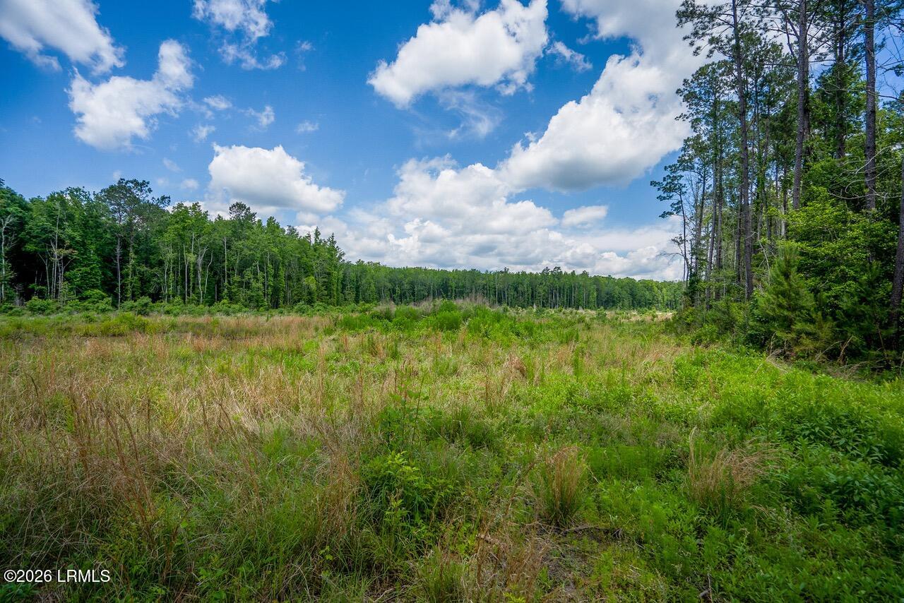 Tbd Evergreen Lane Walterboro, SC 29488 - Photo 18 of 39 DSC01542-41-HDR.jpg-SMALL