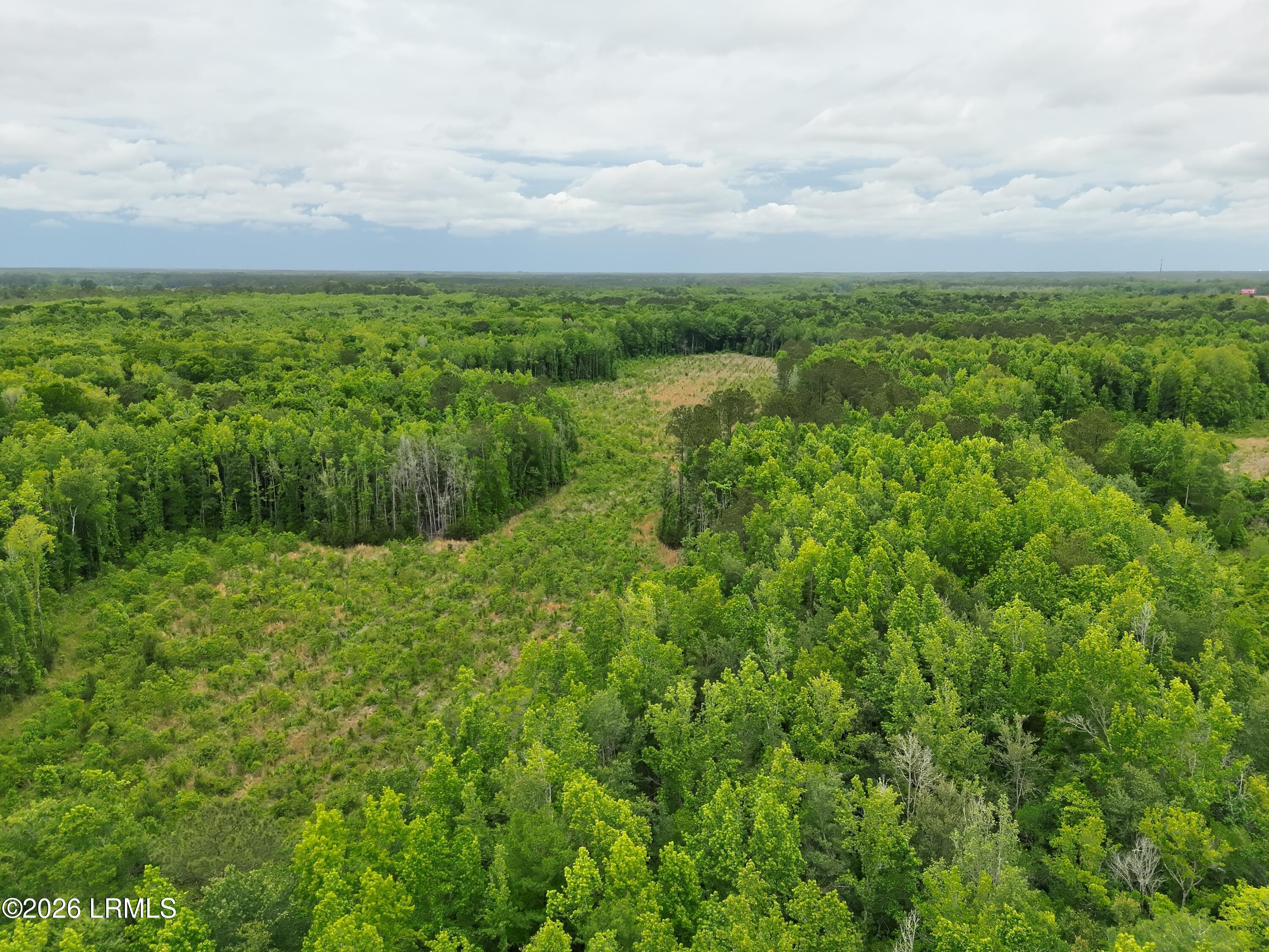 Tbd Evergreen Lane Walterboro, SC 29488 - Photo 2 of 39 DJI_20260428115950_0002_V