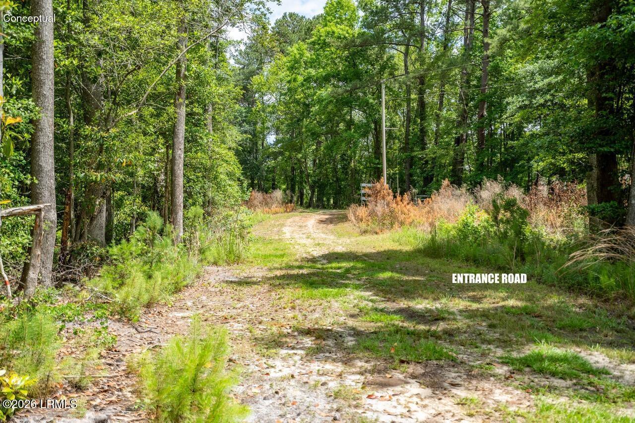 Tbd Evergreen Lane Walterboro, SC 29488 - Photo 22 of 39 DSC01640-HDR.jpg-SMALL