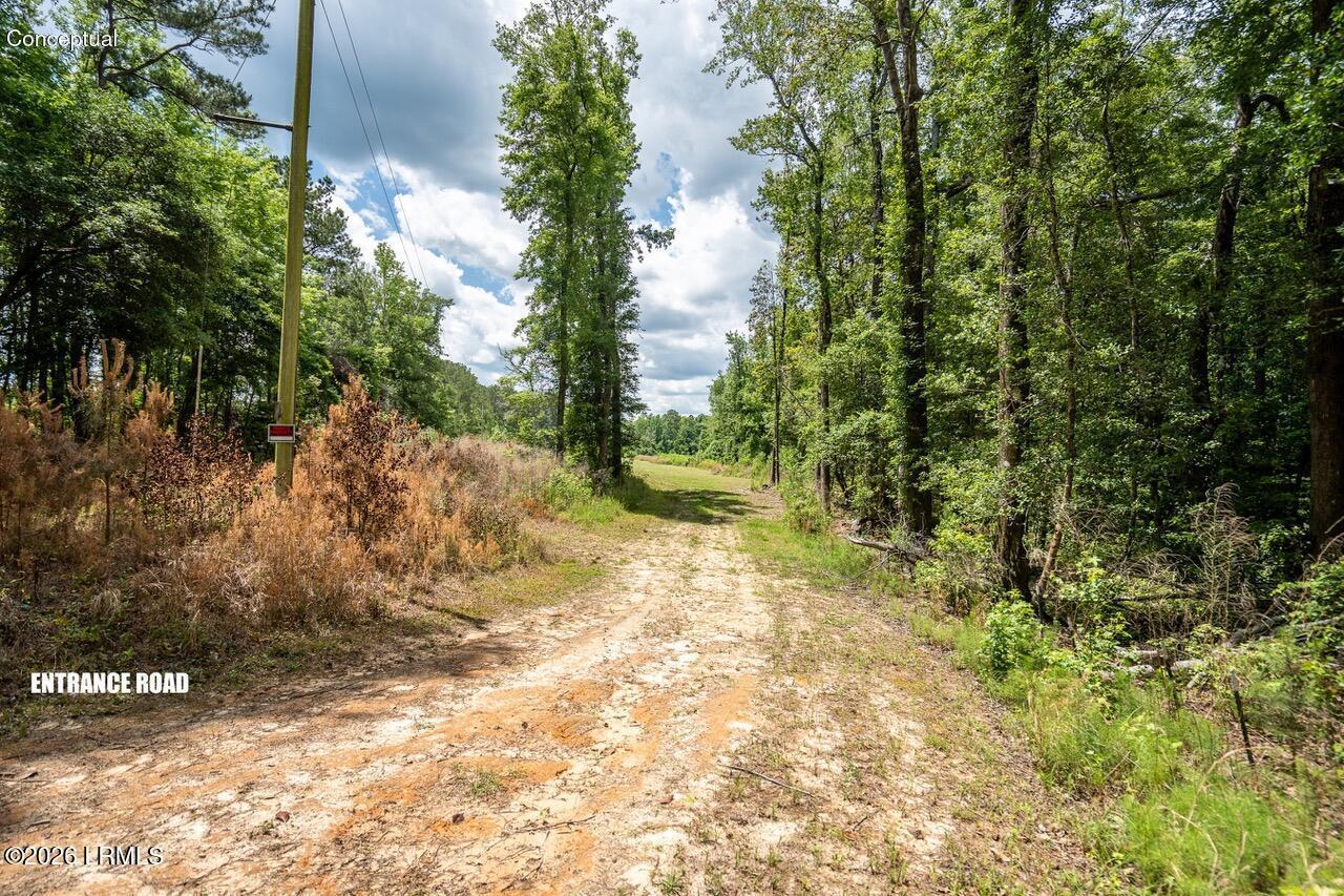 Tbd Evergreen Lane Walterboro, SC 29488 - Photo 24 of 39 DSC01654-HDR.jpg-SMALL