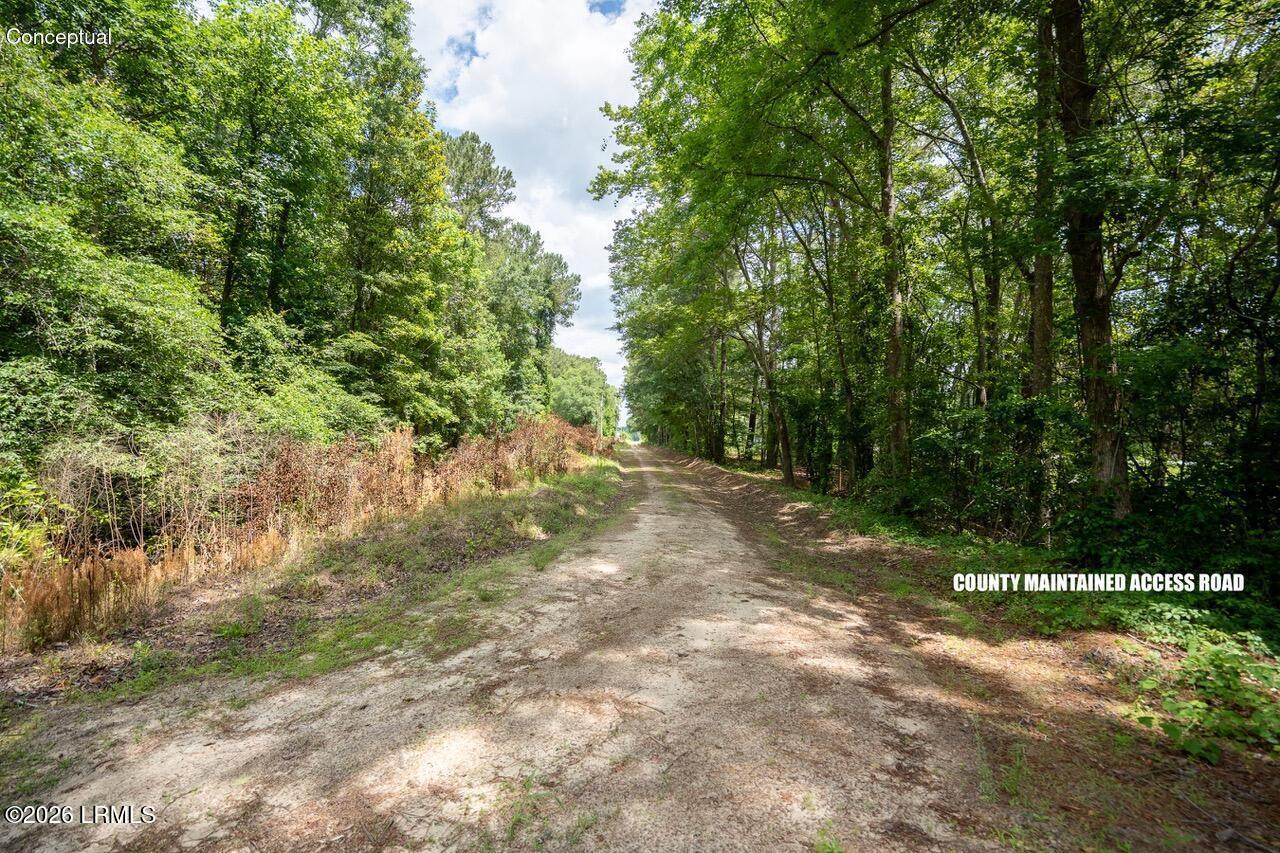 Tbd Evergreen Lane Walterboro, SC 29488 - Photo 25 of 39 DSC01655-HDR.jpg-SMALL