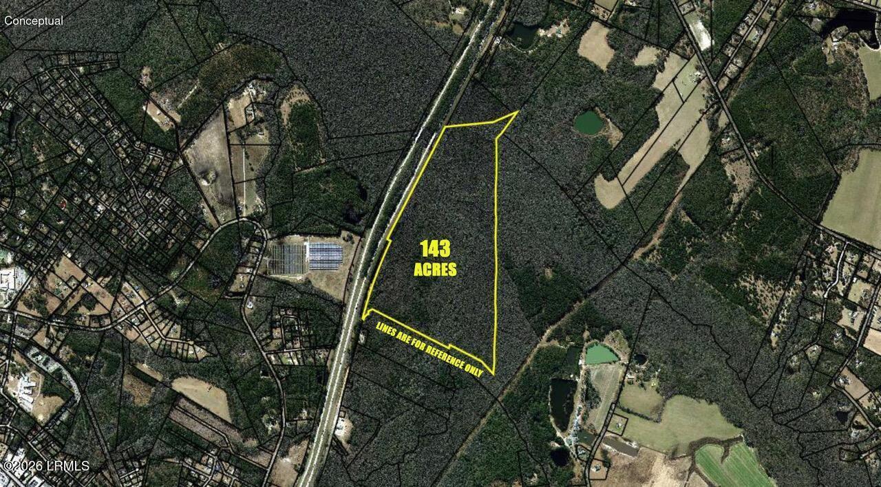 Tbd Evergreen Lane Walterboro, SC 29488 - Photo 3 of 39 Colleton land 1.jpg-SMALL