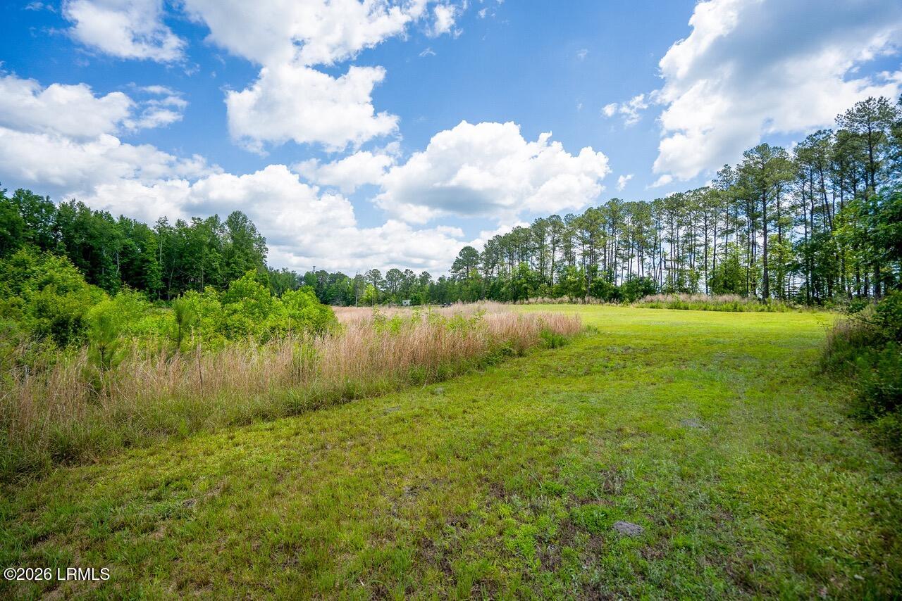 Tbd Evergreen Lane Walterboro, SC 29488 - Photo 31 of 39 DSC01567-66-HDR.jpg-SMALL