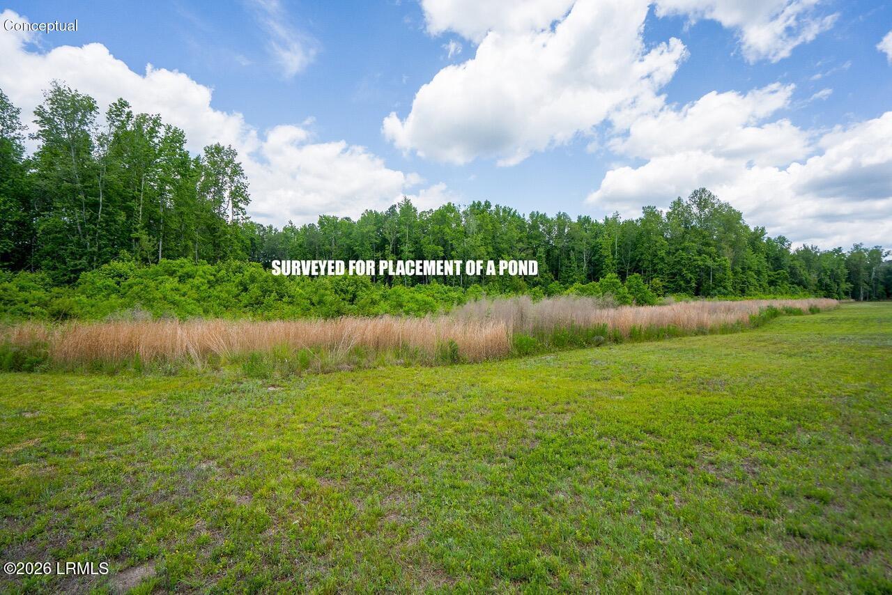 Tbd Evergreen Lane Walterboro, SC 29488 - Photo 32 of 39 DSC01572-71-HDR.jpg-SMALL