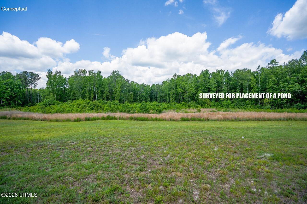 Tbd Evergreen Lane Walterboro, SC 29488 - Photo 33 of 39 DSC01577-76-HDR.jpg-SMALL
