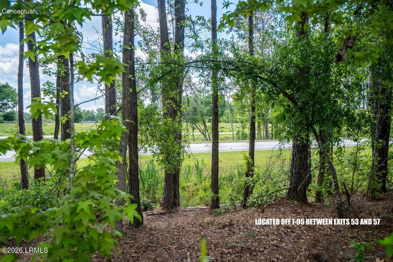 Tbd Evergreen Lane Walterboro, SC 29488 - Photo 34 of 39 DSC01585-HDR.jpg-SMALL