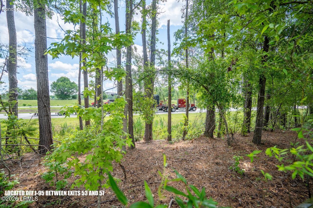 Tbd Evergreen Lane Walterboro, SC 29488 - Photo 35 of 39 DSC01599-HDR.jpg-SMALL
