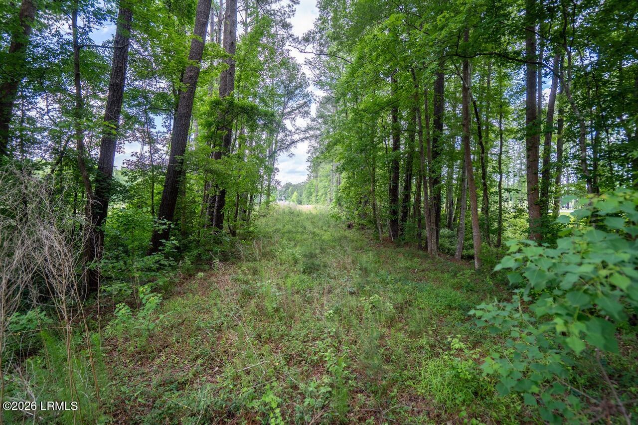 Tbd Evergreen Lane Walterboro, SC 29488 - Photo 36 of 39 DSC01610-HDR.jpg-SMALL