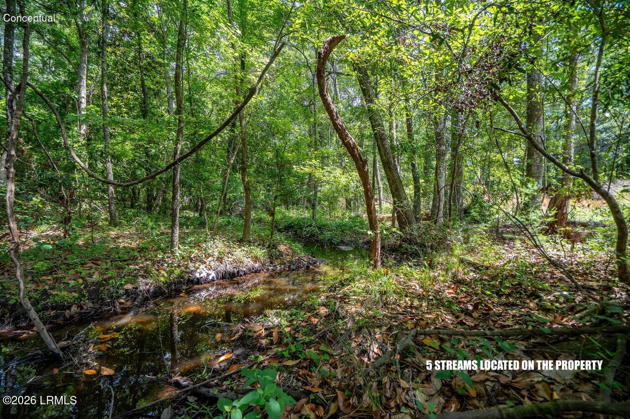 Tbd Evergreen Lane Walterboro, SC 29488 - Photo 39 of 39 DSC01630-HDR.jpg-SMALL
