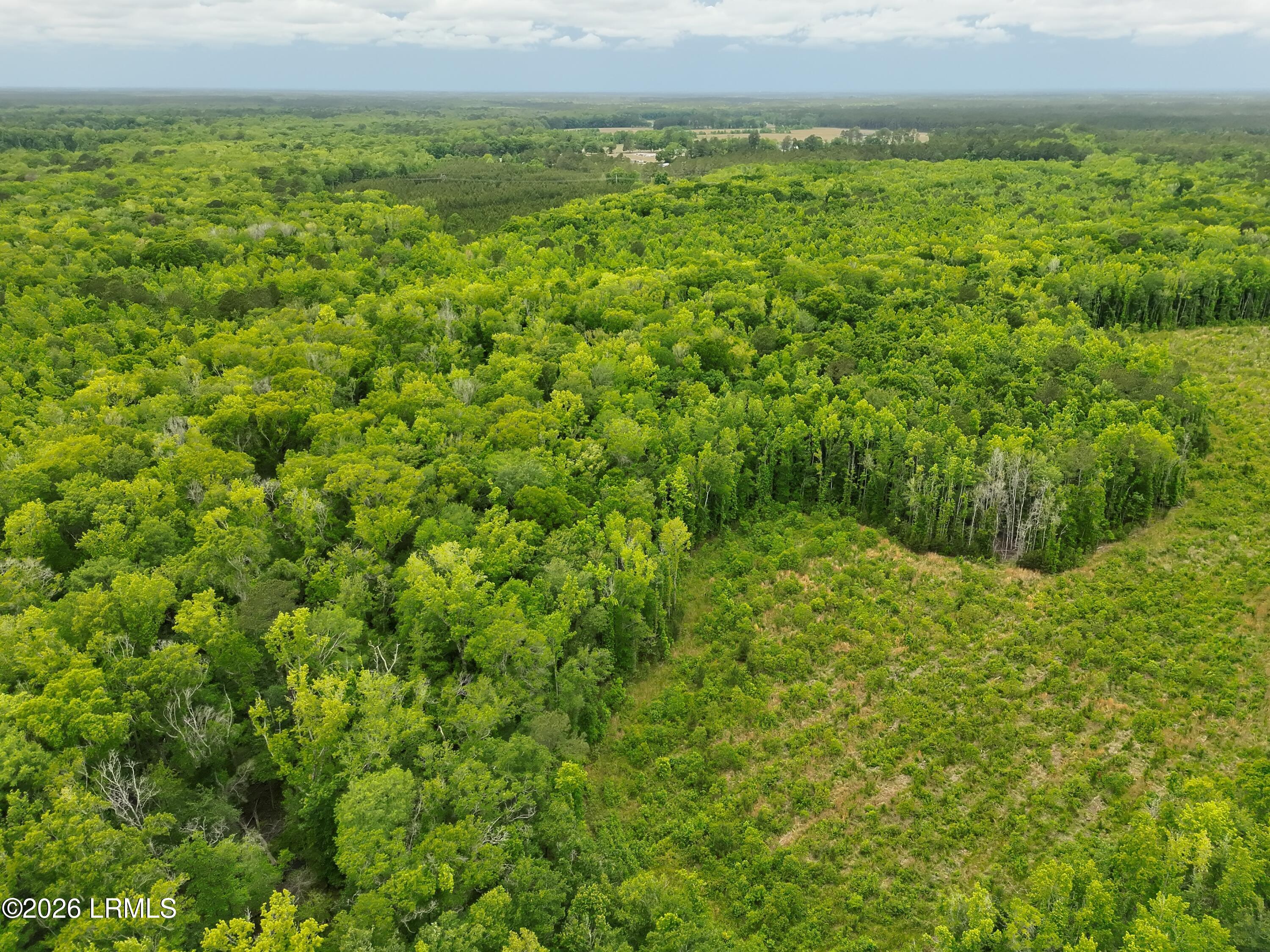 Tbd Evergreen Lane Walterboro, SC 29488 - Photo 4 of 39 DJI_20260428120000_0004_V