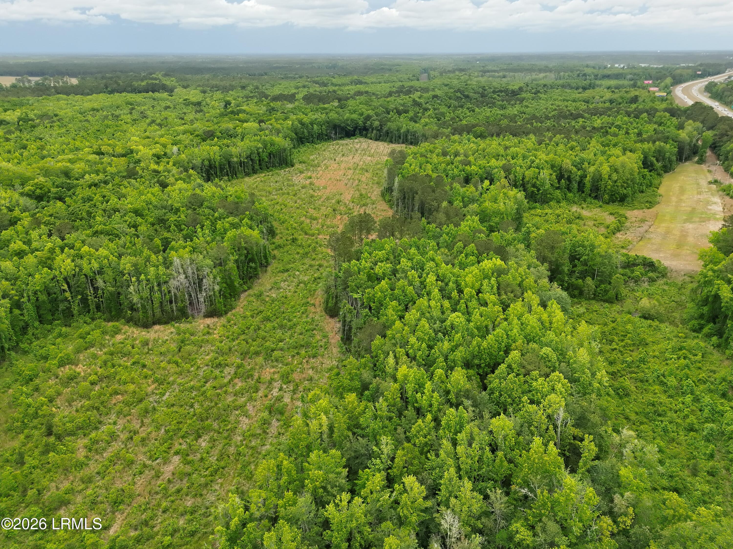 Tbd Evergreen Lane Walterboro, SC 29488 - Photo 6 of 39 DJI_20260428120002_0005_V