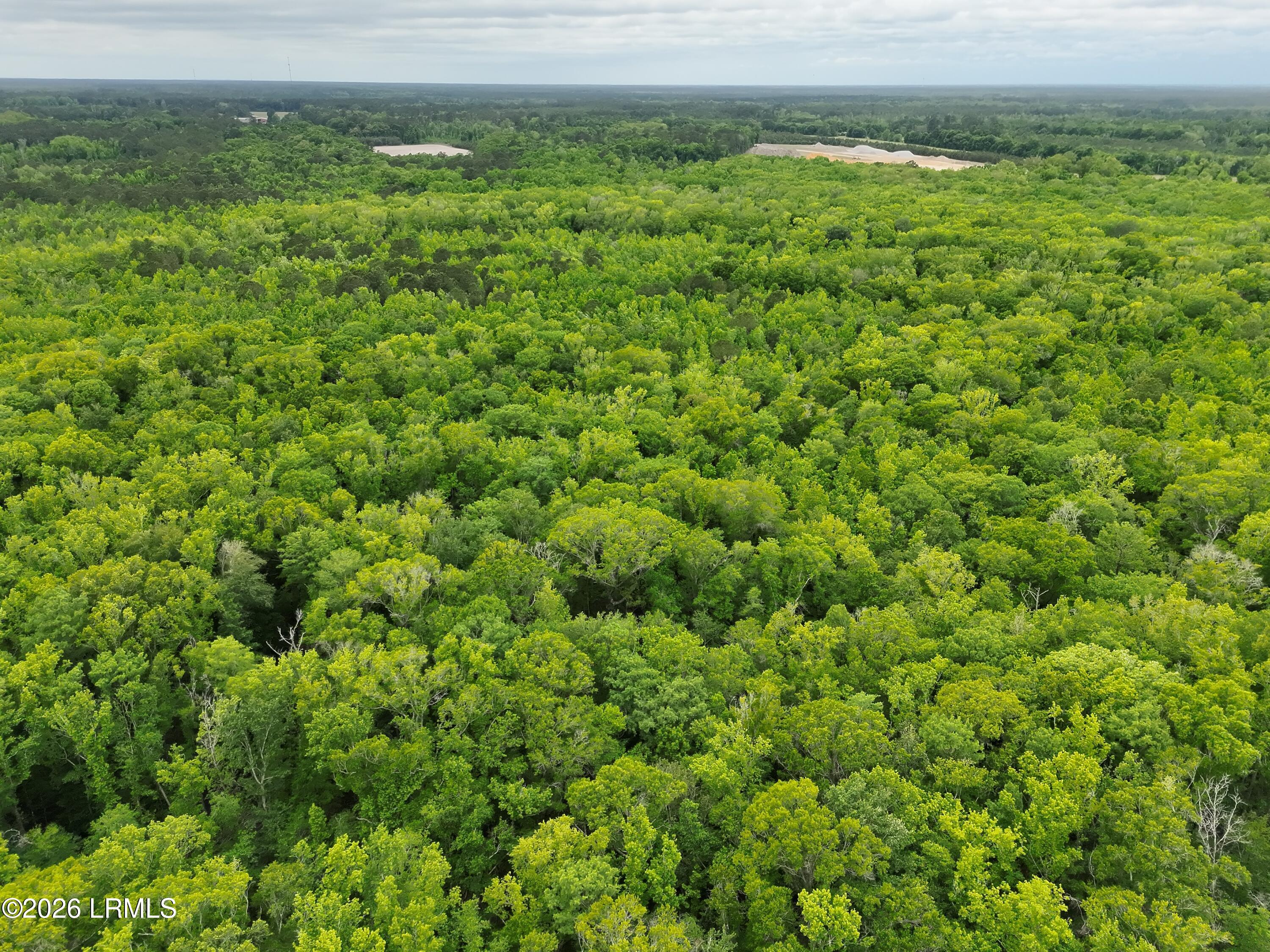 Tbd Evergreen Lane Walterboro, SC 29488 - Photo 7 of 39 DJI_20260428120006_0006_V