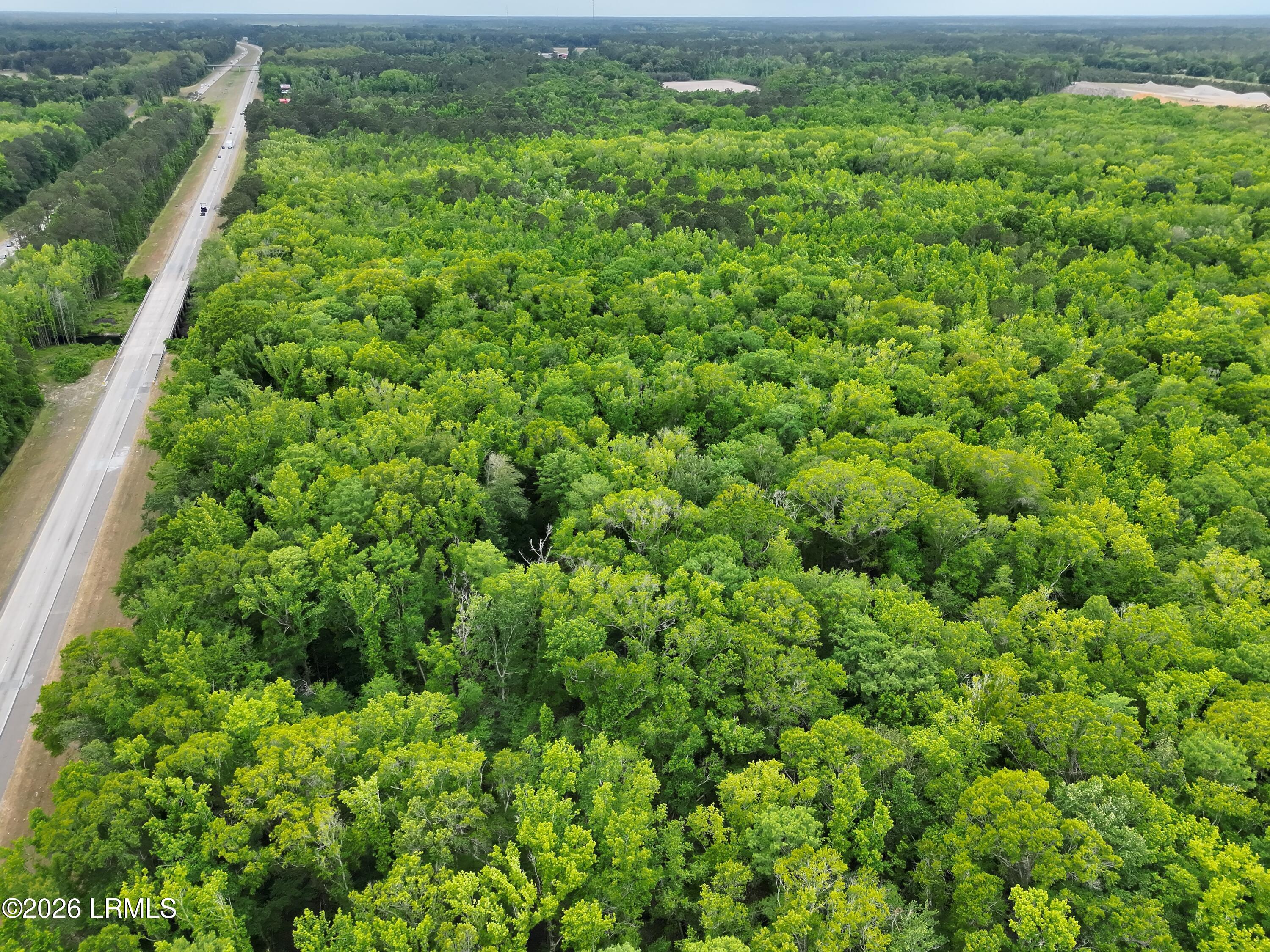Tbd Evergreen Lane Walterboro, SC 29488 - Photo 8 of 39 DJI_20260428120009_0007_V