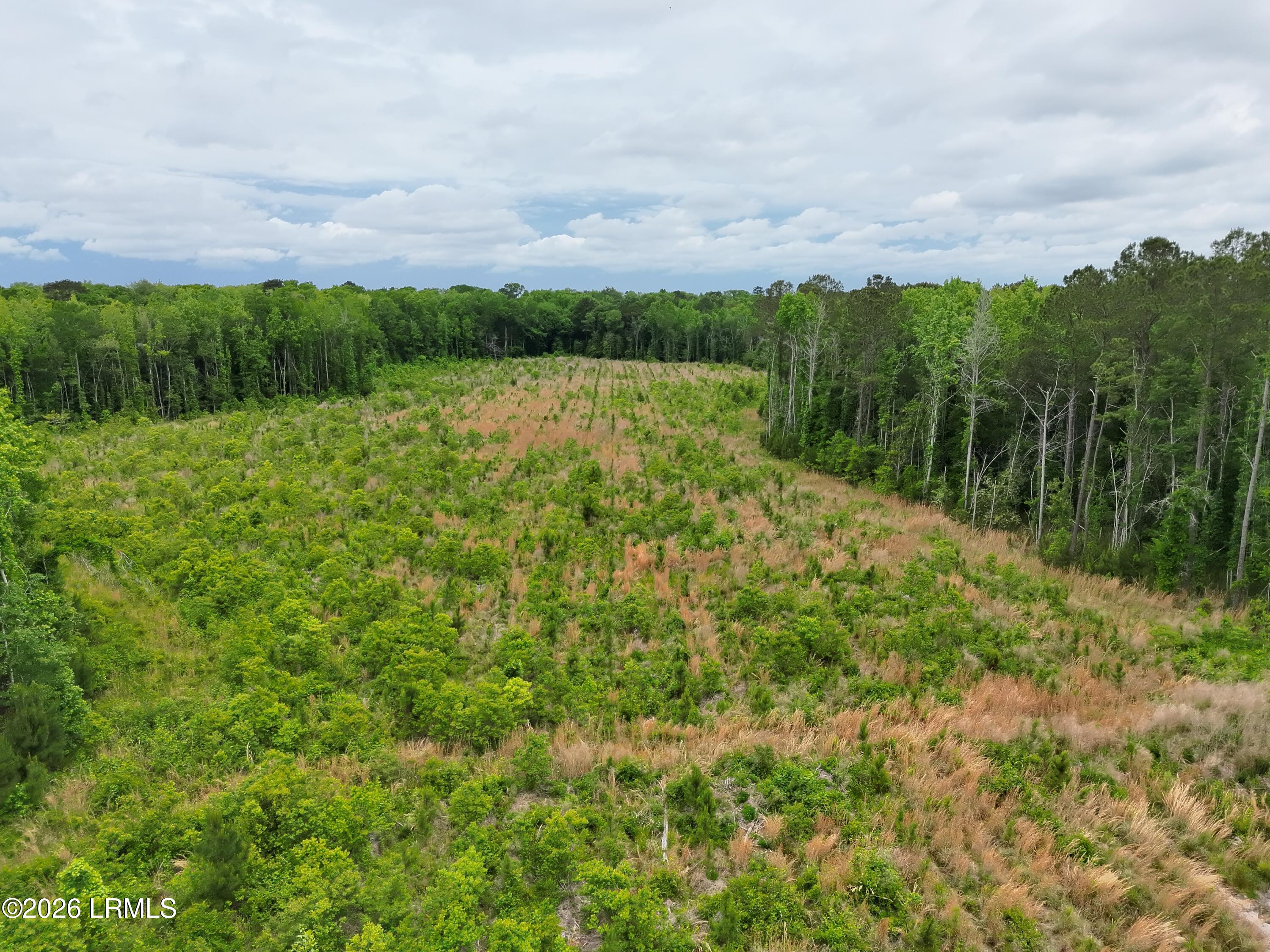 Tbd Evergreen Lane Walterboro, SC 29488 - Photo 9 of 39 DJI_20260428120042_0008_V