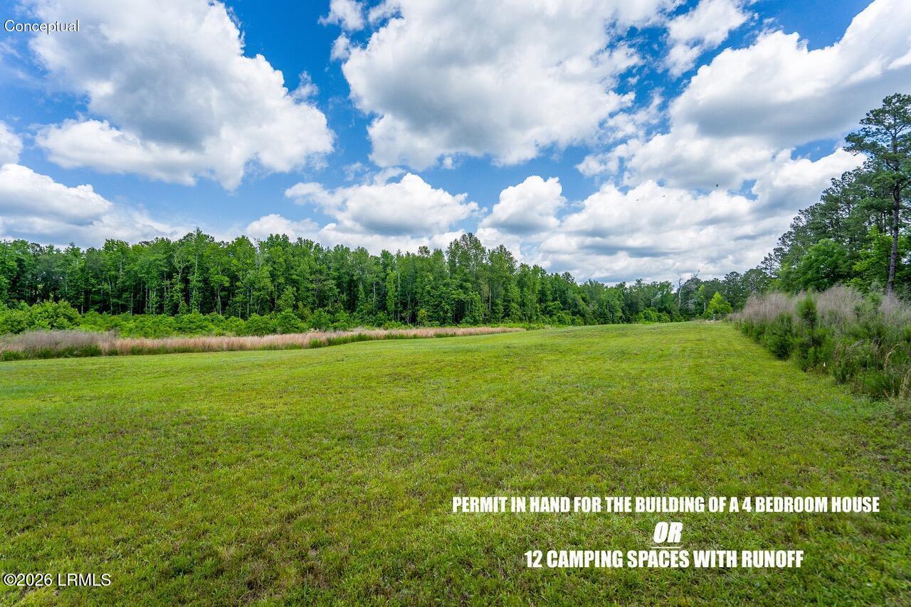 Tbd Evergreen Lane Walterboro, SC 29488 - Photo 10 of 39 DSC01502-1-HDR.jpg-SMALL